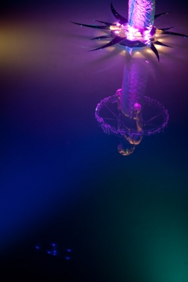  Modes Of The Ocean 2009-12